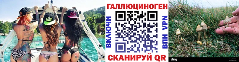 Псилоцибиновые грибы мухоморы  закладки  Стародуб 