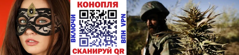 Каннабис конопля  Стародуб 